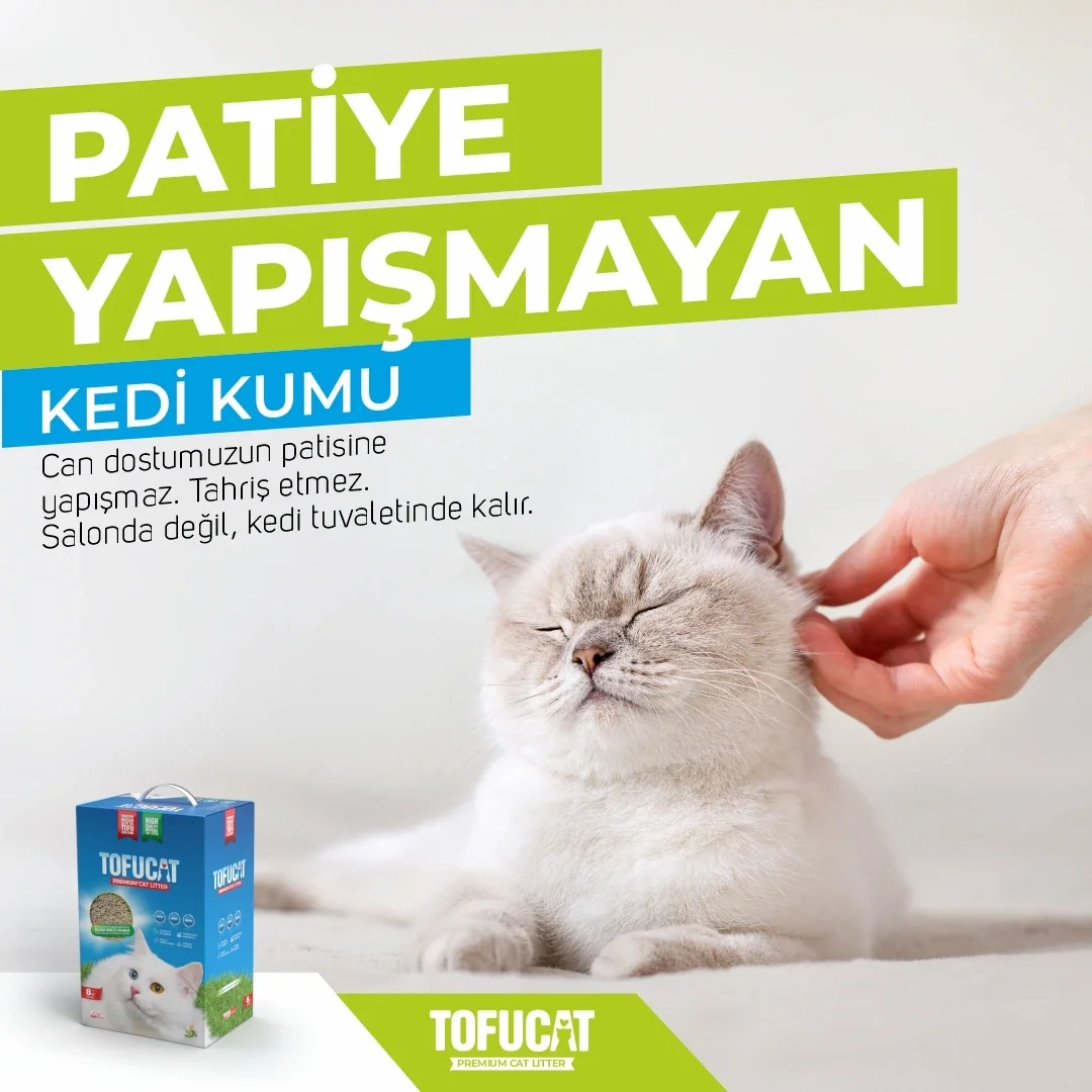 patiye-yapismayan