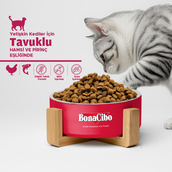 BonaCibo Adult Cat