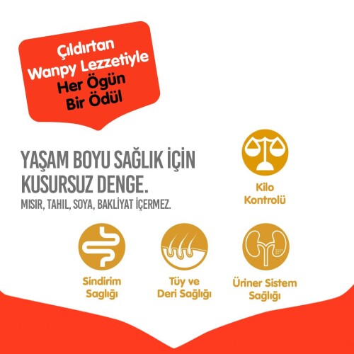 Wanpy Kısırlaştırılmış Somon Ve Ton Balıklı Tahılsız Yetişkin Kedi Maması 8 kg