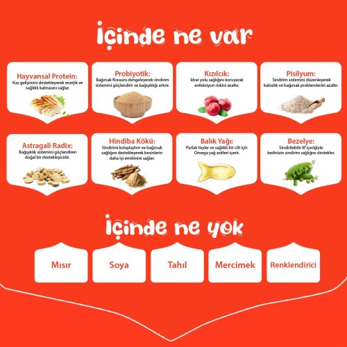 Wanpy Tavuklu Tahılsız Yavru Kedi Maması 8 Kg