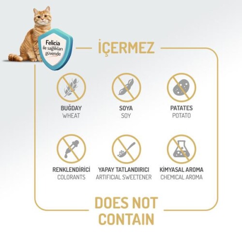 Felicia Somonlu Düşük Tahıllı Kolajenli Yetişkin Kedi Maması 5 kg