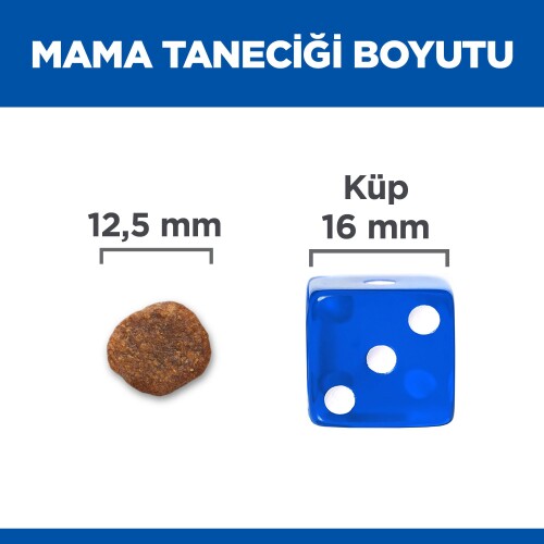 Hill's SCIENCE PLAN Hipoalerjenik Yetişkin Orta Irk Somonlu Köpek Maması 10 kg + 2 kg