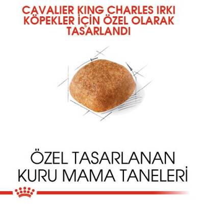 Royal Canin Cavalier King Charles Yetişkin Köpek Maması 1,5 kg