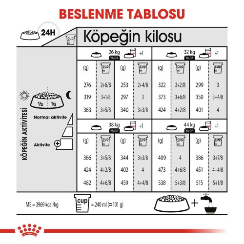 Royal Canin CCN Dermacomfort Maxi Büyük Irk Yetişkin Köpek Maması 12 kg