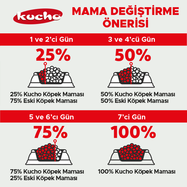 Kucho Adult Dog Lamb