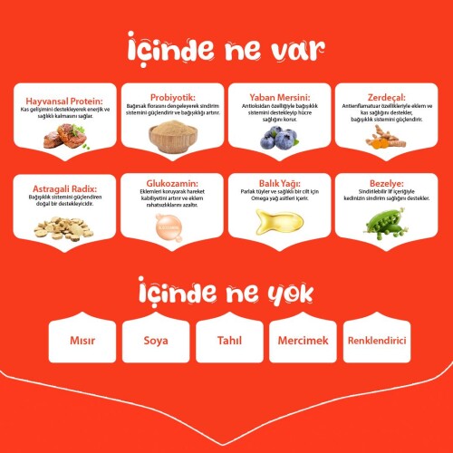 Wanpy Sığır Etli Tahılsız Yetişkin Köpek Maması 12 kg