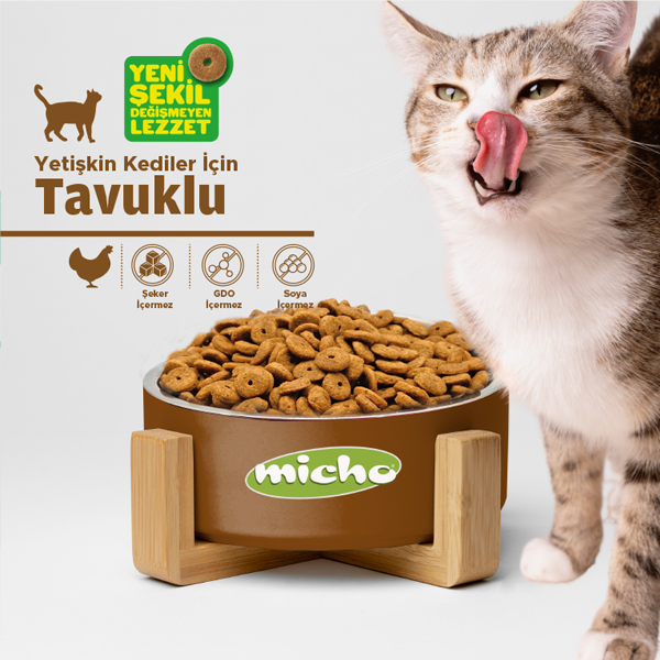 Micho Adult Cat