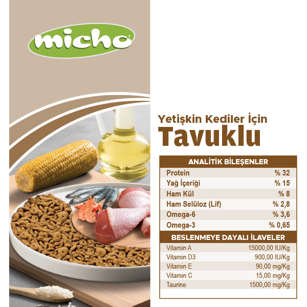 Micho Adult Cat