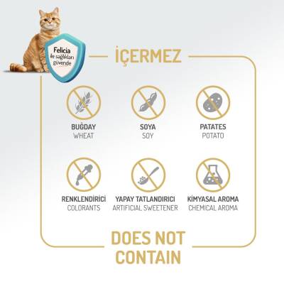 Felicia Somon Balıklı Düşük Tahıllı Hipoalerjenik Kedi Maması 2 kg