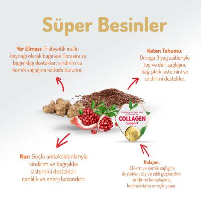 Felicia Somon Balıklı Düşük Tahıllı Hipoalerjenik Kedi Maması 2 kg