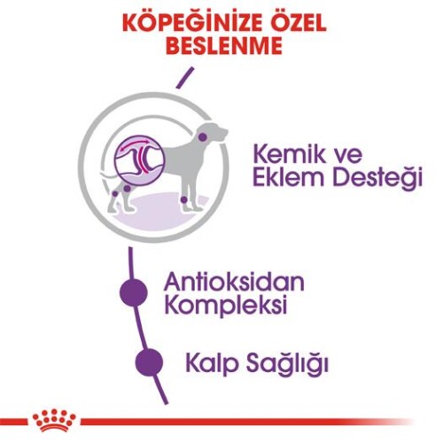 Royal Canin Giant Dev Irk Yetişkin Köpek Maması 15 kg