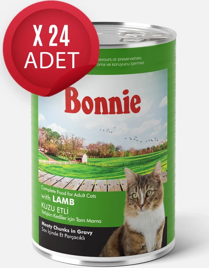 KEDİ