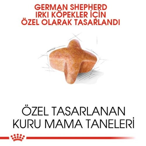 Royal Canin German Shepherd Alman Kurduna Özel Yetişkin Köpek Maması 11 kg