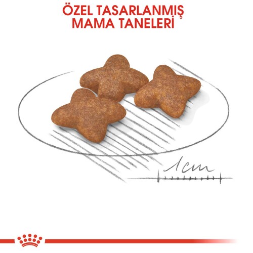 Royal Canin Mini Adult Küçük Irk Yetişkin Köpek Maması 4 kg