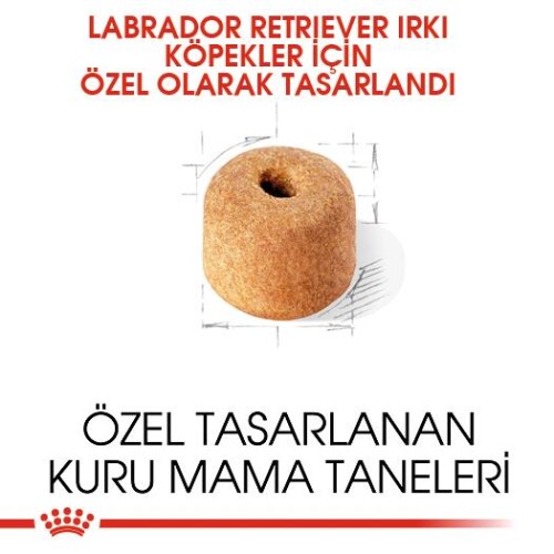 Royal Canin Labrador Retriever Yetişkin Köpek Maması 12 kg