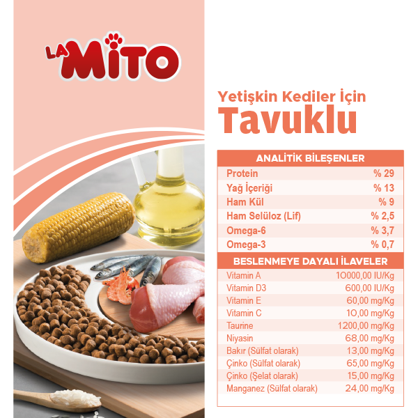 Mito Adult Cat