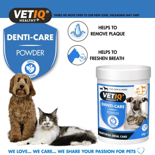 Vet IQ Kedi ve Köpek İçin Diş Bakım Tozu 60 gr