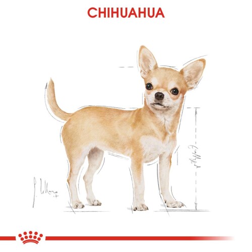 Royal Canin Chihuahua Adult Pouch Yetişkin Köpekler İçin Konserve 85 Gr