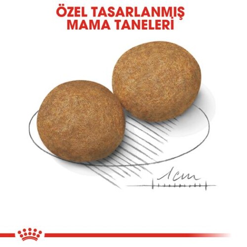 Royal Canin Medium Adult Orta Irk Yetişkin Köpek Maması 15 kg