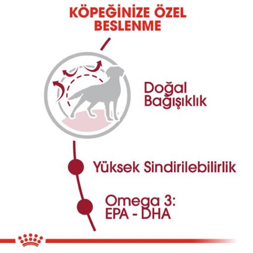 Royal Canin Medium Adult Orta Irk Yetişkin Köpek Maması 15 kg