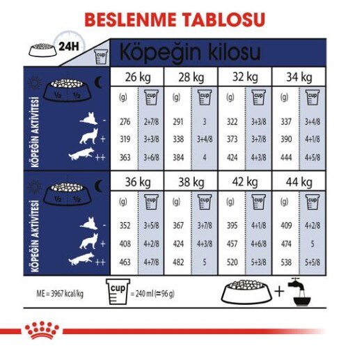 Royal Canin Maxi Adult Büyük Irk Yetişkin Köpek Maması 15 kg
