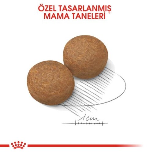 Royal Canin Maxi Adult Büyük Irk Yetişkin Köpek Maması 15 kg