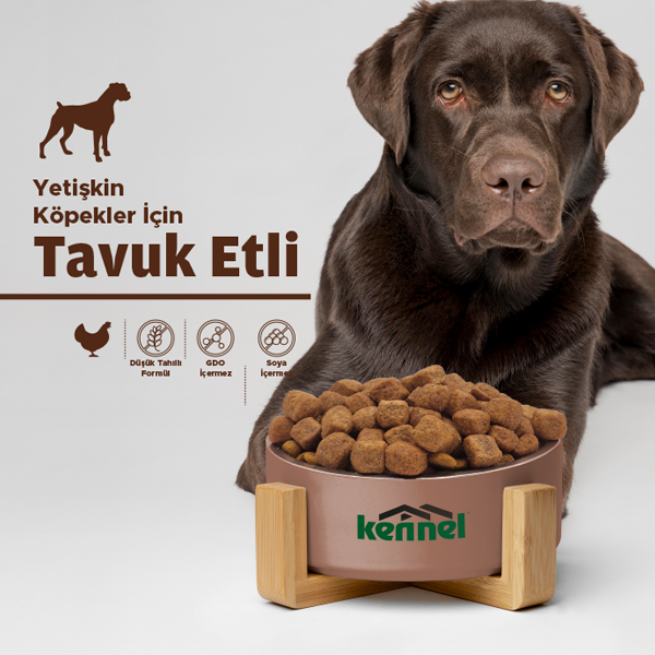 Kennel Adult Dog