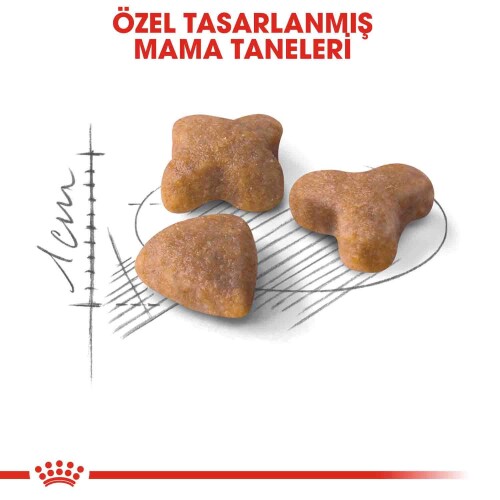Royal Canin Sensible 33 Hassas Sindirimi Olan Kediler İçin Mama 15 kg